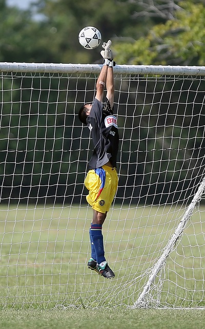 这包括尝试 这包括尝试