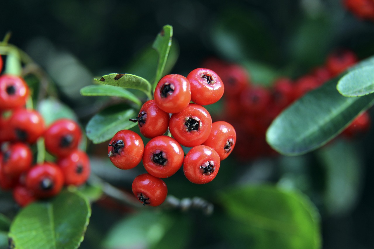 費大量資金 費大量資金