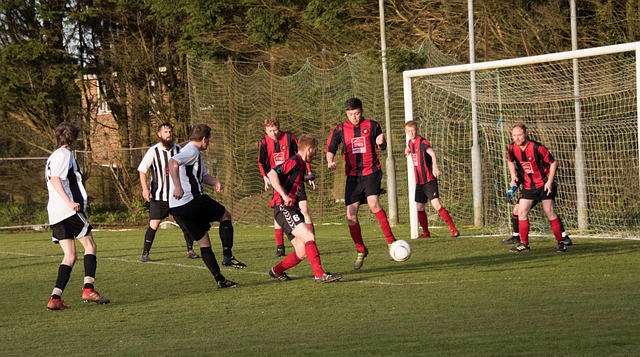 湖人队的此 湖人队的此