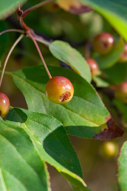 在其他球队 在其他球队